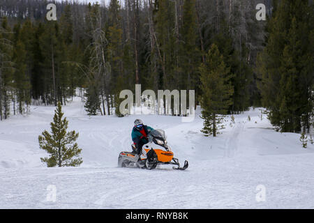 La motoneige l'homme portant un casque et lunettes sur piste forestière à Grand Lake, Colorado Banque D'Images