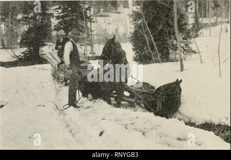 . American Forestry. Les forêts et la foresterie. 184 AMERICAN FORESTRY. Cela montre les difficultés d'un billet d'agents forestiers ou quiconque fait un voyage d'hiver à Jackson, Snake River, Teton National Forest, au Wyoming. Le cheval est en baisse en raison de l'amélioration des routes. lieues, et il y a tout lieu, dans de tels cas, à un superviseur de s'intéresser activement à l'organisation de tels organismes. Par l'intermédiaire de tel, il y a beaucoup à faire pour améliorer l'atmosphère sociale de la communauté en organisant des animations simples, des danses, déménagement photo shows, etc. Un superviseur doit b Banque D'Images