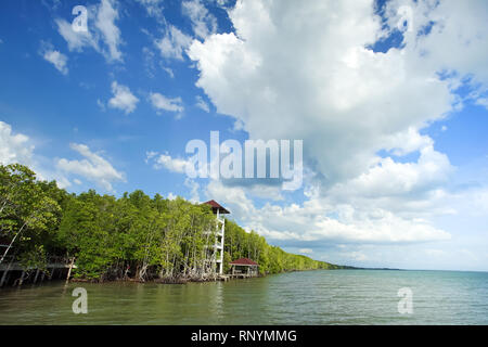 La forêt de mangrove en bord de mer avec fond nuageux dans la province de Trad, en Thaïlande. Banque D'Images