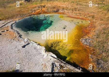 WYOMING - Colorful Hot spring juste à côté de la piste dans le groupe du milieu du coeur Lake Geyser Basin dans le parc de Yellowstone. Banque D'Images