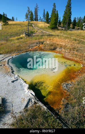 WYOMING - Colorful Hot spring juste à côté de la piste dans le groupe du milieu du coeur Lake Geyser Basin dans le parc de Yellowstone. Banque D'Images