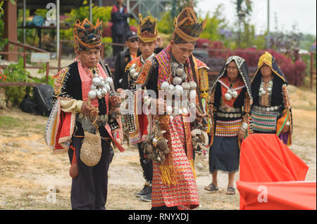 Kundasang Sabah, Malaisie - Jul 3, 2015 : Dusun chaman ethnique rituel de la scène pour apaiser l'esprit du Akinabalu le gardien du Mont Kinabalu. Banque D'Images