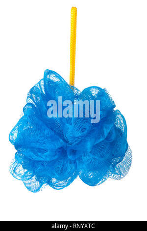 Douche éponge bleu isolé sur fond blanc. Banque D'Images
