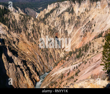 USA, Wyoming, Yellowstone National Park, Lower Falls et Grand Canyon de la Yellowstone d'Inspiration Point. Banque D'Images