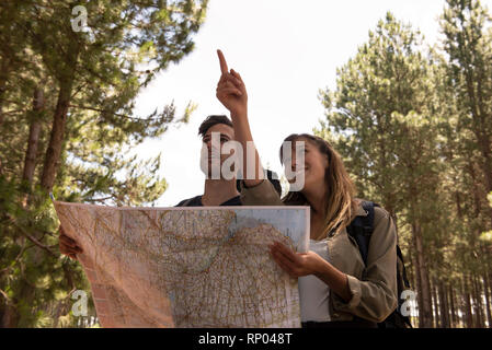 Young couple with map dans une forêt de pins Banque D'Images