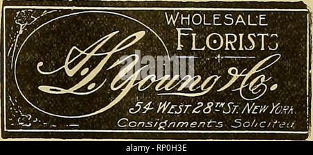 . La fleuriste américain : un journal hebdomadaire pour le commerce. La floriculture ; fleuristes. AV. L. DOYLE A. E. Doyle STAND &AMP ; Booth Fleuriste Gros Consigiuneiits Watklns sollicités Téléphone : 9408 121 West 28th St, NEW YORK l'American Mentionner quand writinff Fleuriste J. J. COAN, wholesaijE Inc. Tout fleuriste fleurs coupées dans Téléphones portables 641S &AMP ; 5891 Watkins ]LJ "r j 31 et 43 W. 18th St., la WcW je ol K Mentionner le loritinfr fleuriste américain lorsque des lettres d'or et les scripts meilleur et moins cher sur le marché. Écrire pour des échantillons et des prix. J. LICHTENBERGER 1560 UNE Avenue, NEW YORK CITY mentionner l'American Flor Banque D'Images