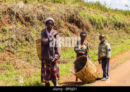 KENYA, THIKA - 03 janvier 2019 : vieille femme et ses deux enfants pour les feuilles de thé avec leur panier en osier sur une route dans le centre du Kenya en Afrique Banque D'Images