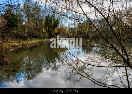 Petit lac près de Leeds près de Maidstone dans le Kent, Angleterre Banque D'Images