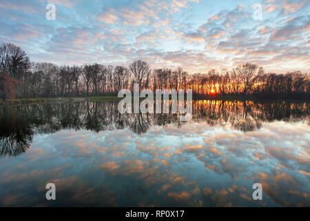 Coucher du soleil sur le lac forest Banque D'Images