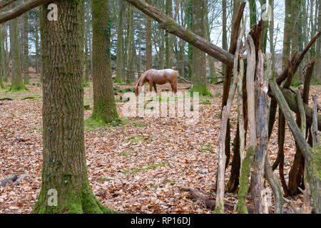 Cheval brun avec un dos blanc entre pâturage feuilles tombées dans l'arbre de la nouvelle Forêt Banque D'Images