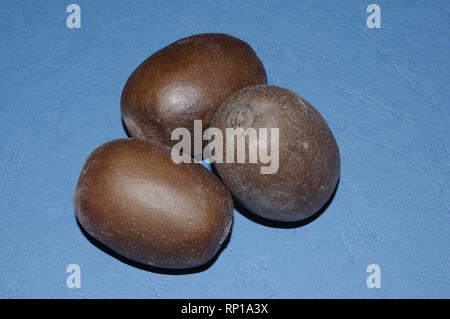 Les kiwis frais close-up Banque D'Images