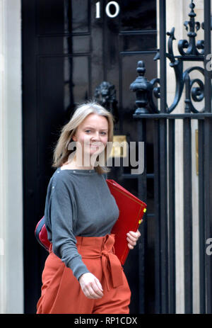 Liz Truss, député, secrétaire en chef au Trésor, laissant Downing Street après une réunion du cabinet, 19.02.2019 Banque D'Images