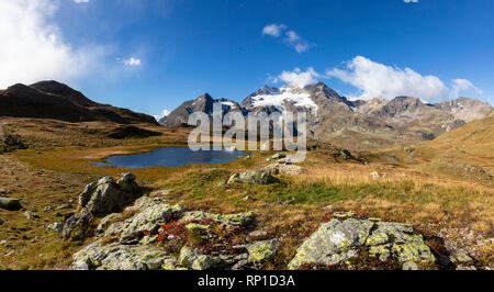 Vue panoramique sur le Piz Cambrena et lac alpin, Val Dal Bugliet, col de la Bernina, canton des Grisons, Engadine, Suisse Banque D'Images