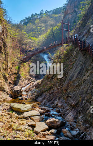 Sentier de randonnée sur la passerelle avec les randonneurs à Biryong toursits Falls Cascade dans le Parc National de Seoraksan, Corée du Sud Banque D'Images