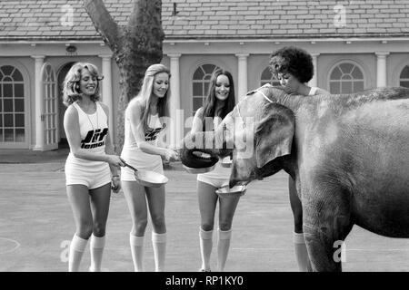 Contes étranges de Londres. Les reines de beauté (qui sera dans la course aux crêpes le mardi) et bébé éléphant Minoti - elle a cinq, mais pour un éléphant c'est un bébé. Février 1975 75-00776-012 Banque D'Images