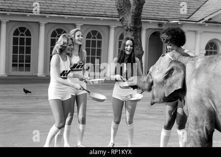 Contes étranges de Londres. Les reines de beauté (qui sera dans la course aux crêpes le mardi) et bébé éléphant Minoti - elle a cinq, mais pour un éléphant c'est un bébé. Février 1975 75-00776-013 Banque D'Images