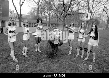 Contes étranges de Londres. Les reines de beauté (qui sera dans la course aux crêpes le mardi) et bébé éléphant Minoti - elle a cinq, mais pour un éléphant c'est un bébé. Février 1975 75-00776-002 Banque D'Images