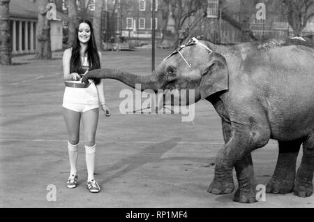 Contes étranges de Londres. Les reines de beauté (qui sera dans la course aux crêpes le mardi) et bébé éléphant Minoti - elle a cinq, mais pour un éléphant c'est un bébé. Février 1975 75-00776-007 Banque D'Images