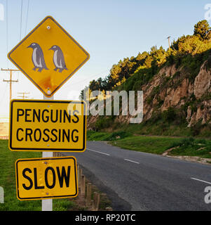 Roadsign Jaune Avertissement de pingouins crossing road Banque D'Images