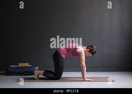 Woman working out ag faisant du yoga ou Pilates de l'exercice. Chat, Marjaryasana Banque D'Images