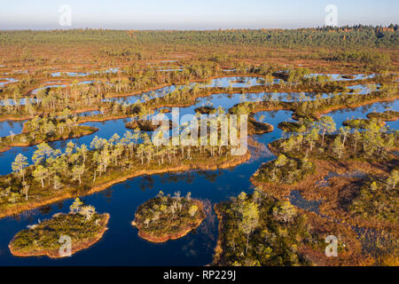 Vue aérienne de Mannikjarve bog piscines et îlots dans Endla Réserve Naturelle, Jogevamaa County, Estonie Banque D'Images