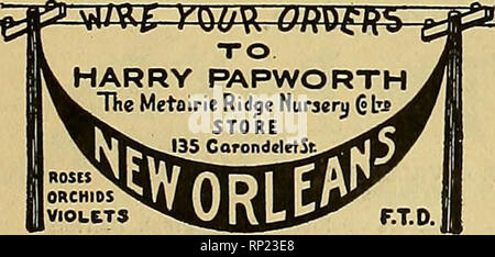 . La fleuriste américain : un journal hebdomadaire pour le commerce. La floriculture ; fleuristes. Huitième de criquets et de Sts. 3514-16-20 N. Grand à. Telegraph commandes à court préavis à Saint-Louis et reste du Missouri.. San Francisco, Californie J. B. BOLAND Successeur de Sievers &AMP ; Boland FLORIST 60 KEARNY STREET Minneapolis, Minn. WHITTED CO. FLORAL, H. B. WHITTED. Prop. Une attention particulière accordée à toutes les commandes à livrer dans les villes jumelles ou le Noithwest. * ^TTTTTvvwvwripfyy'y'ru"i"l"t"t"j'vT"^ Max Schling NEW YORK. Je n°122 West 59th Street  % attenant à l'hôtel Plaza * Membre de (il Banque D'Images