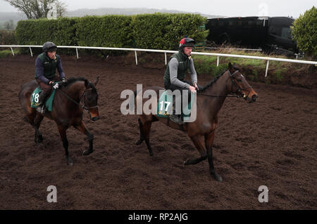 Sharjah (droite) et pendant la visite Allaho stable à Willie Mullins' cour à Closutton, Carlow. Banque D'Images