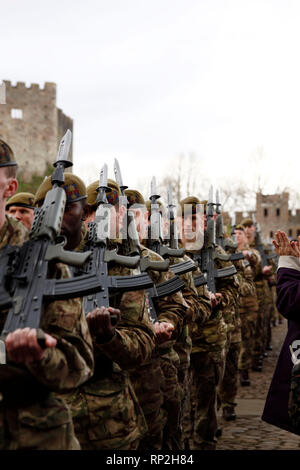 Cardiff, Wales, UK. 20 février 2019. Le 1er Bataillon Welsh Guard's homecoming parade. Ce bataillon venait juste de rentrer après leur troisième mission en Afghanistan. Credit : Lily Watts/Alamy Live News Banque D'Images