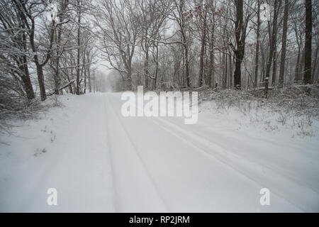 Bluemont, Virginia, USA. 20 févr. 2019 Eglise d'Ebenezer Road est couverte de neige près de Bluemont, Virginie. (Photo par Douglas Graham/WLP) Crédit : William Graham/Alamy Live News Banque D'Images