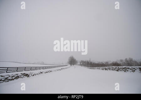 Bluemont, Virginia, USA. 20 févr. 2019 Eglise d'Ebenezer Road est couverte de neige près de Bluemont, Virginie. (Photo par Douglas Graham/WLP) Crédit : William Graham/Alamy Live News Banque D'Images