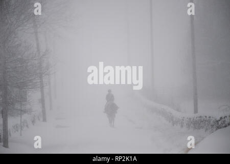 Virginia, USA. Feb 20, 2019. Lors d'une tempête de neige un equestrian fait son chemin vers le bas près de Bloomfield Road Foggy Bottom, Virginia. (Photo par Douglas Graham/WLP) Crédit : William Graham/Alamy Live News Banque D'Images