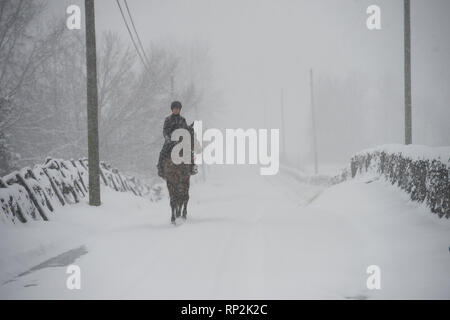 Virginia, USA. Feb 20, 2019. Lors d'une tempête de neige un equestrian fait son chemin vers le bas près de Bloomfield Road Foggy Bottom, Virginia. (Photo par Douglas Graham/WLP) Crédit : William Graham/Alamy Live News Banque D'Images