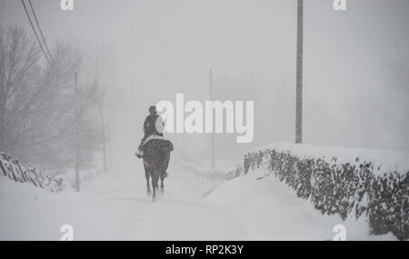 Virginia, USA. Feb 20, 2019. Lors d'une tempête de neige un equestrian fait son chemin vers le bas près de Bloomfield Road Foggy Bottom, Virginia. (Photo par Douglas Graham/WLP) Crédit : William Graham/Alamy Live News Banque D'Images