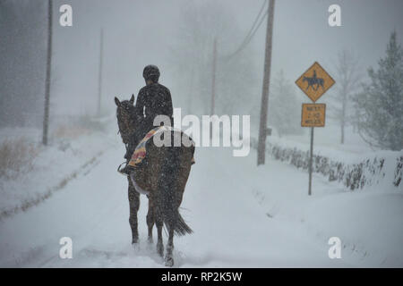 Virginia, USA. Feb 20, 2019. Lors d'une tempête de neige un equestrian fait son chemin vers le bas près de Bloomfield Road Foggy Bottom, Virginia. (Photo par Douglas Graham/WLP) Crédit : William Graham/Alamy Live News Banque D'Images