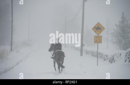 Virginia, USA. Feb 20, 2019. Lors d'une tempête de neige un equestrian fait son chemin vers le bas près de Bloomfield Road Foggy Bottom, Virginia. (Photo par Douglas Graham/WLP) Crédit : William Graham/Alamy Live News Banque D'Images