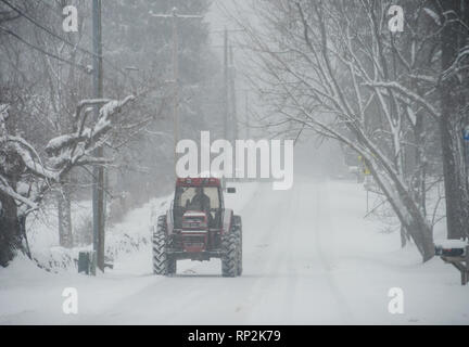 Virginia, USA. Feb 20, 2019. Un tracteur fait son chemin le long de Snickersville Turnpike pendant une tempête de neige à Bluemont, Virginie. (Photo par Douglas Graham/WLP) Crédit : William Graham/Alamy Live News Banque D'Images