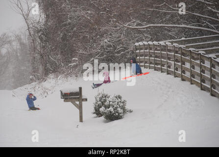 Virginia, USA. Feb 20, 2019. Enfants : un traîneau sur la neige de l'école jaune banque off road près de Bluemont, Virginie. (Photo par Douglas Graham/WLP) Crédit : William Graham/Alamy Live News Banque D'Images