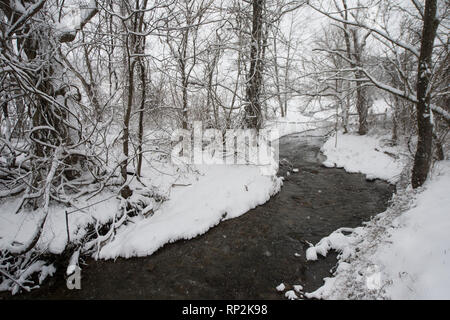 Virginia, USA. Feb 20, 2019. Un : les rives du ruisseau couvert de neige fraîche le long de la route près de l'école jaune Bluemont, Virginie. (Photo par Douglas Graham/WLP) Crédit : William Graham/Alamy Live News Banque D'Images