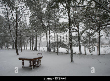 Virginia, USA. Feb 20, 2019.  : Lieu intéressant pour un office, le long de la route de l'école près de Bluemont, Virginie. (Photo par Douglas Graham/WLP) Crédit : William Graham/Alamy Live News Banque D'Images