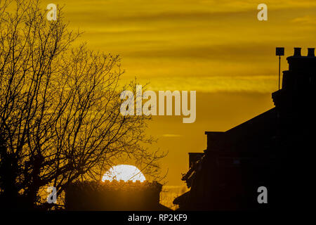 Londres, Royaume-Uni. Feb 20, 2019. Le soleil qui brille sur l'teraced maisons de Clapham, Londres SW. Crédit : Guy Bell/Alamy Live News Banque D'Images