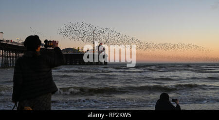 Brighton, UK. Feb 20, 2019. Les visiteurs et les observateurs d'admirer un magnifique starling murmuration sur Brighton Palace Pier ce soir au coucher du soleil comme beau temps devrait se poursuivre dans le sud au cours des prochains jours de crédit : Simon Dack/Alamy Live News Banque D'Images