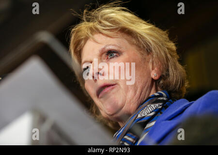 Londres, Royaume-Uni. Feb 20, 2019. Anna Soubry est perçu au cours de la conférence de presse.ex-députés conservateurs Anna Soubry, Sarah Wollaston et Heidi Allen sont vus lors d'une conférence de presse après avoir quitté le parti pour le Groupe indépendant. Credit : Dinendra Haria SOPA/Images/ZUMA/Alamy Fil Live News Banque D'Images