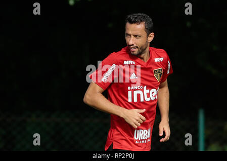 Sao Paulo, Brésil. Feb 20, 2019. La formation de São Paulo - Nene durant la formation de Sao Paulo à TC Barra Funda. Photo : Marcello Zambrana / AGIF : Crédit AGIF/Alamy Live News Banque D'Images