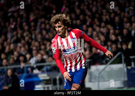 Madrid, Espagne. Feb 20, 2019. Antoine Griezman (marche avant, Atletico de Madrid) lors de match de football de premier cycle de jambes de 16 de Ligue des Champions entre l'Atletico de Madrid et à la Juventus FC Wanda Metropolitano Stadium le 20 février 2019 à Madrid, Espagne. Crédit : David Gato/Alamy Live News Banque D'Images