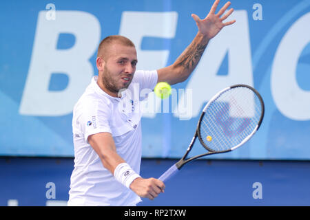 Delray Beach, Florida, USA. Feb 20, 2019. Février, 20 - Delray Beach : Daniel Evans (GBR) bat l'Loyd Harris(RSA) 6062 au 2019 Delray Beach Ouvert par Vitacost.com à Delray Beach, FL. Crédit : Andrew Patron/ZUMA/Alamy Fil Live News Banque D'Images