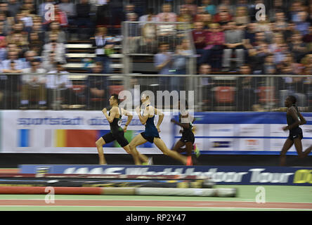 Dusseldorf, Allemagne. Feb 20, 2019. Les joueurs en compétition lors de la finale du 1500 m masculin de la Championnats du Monde en Salle 2019 Tour à Düsseldorf, Allemagne, le 20 février, 2019. Crédit : Yang Lu/Xinhua/Alamy Live News Banque D'Images