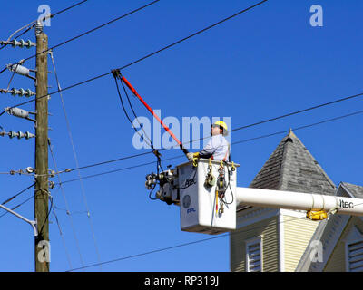 Poseur de l'installation de câble de pontage, les fils électriques, travail, profession, travail, qualifiés, l'utilité, vertical Banque D'Images