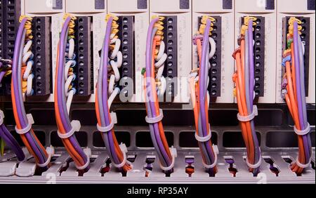 Câbles réseau connecté au commutateur - a proximité du centre de données de matériel. Les fils multicolores. Banque D'Images