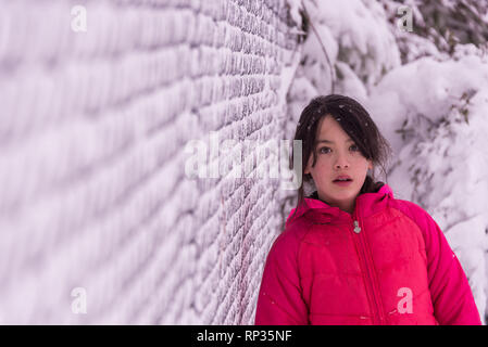 Jeune fille asiatique en robe rose debout à côté de la neige a couvert fence Banque D'Images