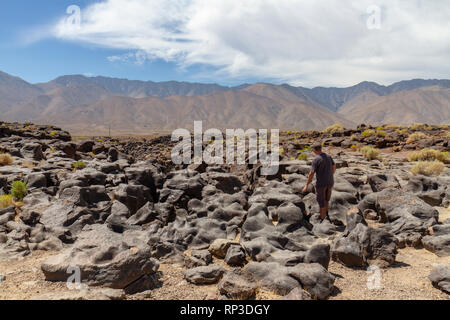 Homme marchant sur une partie de la relève des combustibles fossiles, un édifice volcanique unique près de Little Lake, California, United States. Banque D'Images